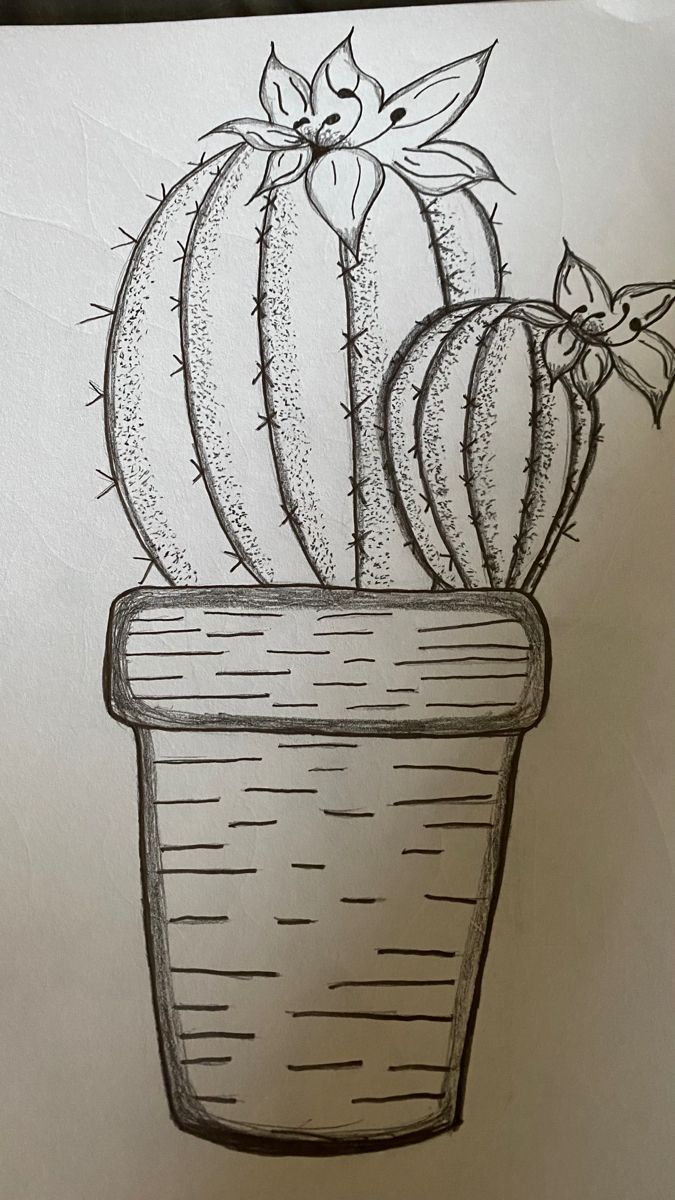 cactus drawing Succulent Drawing Sketches, Drawing Ideas Plants, Succulent Drawing, Succulents Drawing, Easy Drawing Ideas, Cactus Drawing, Mixed Art, Flowers Pretty, Easy Drawing