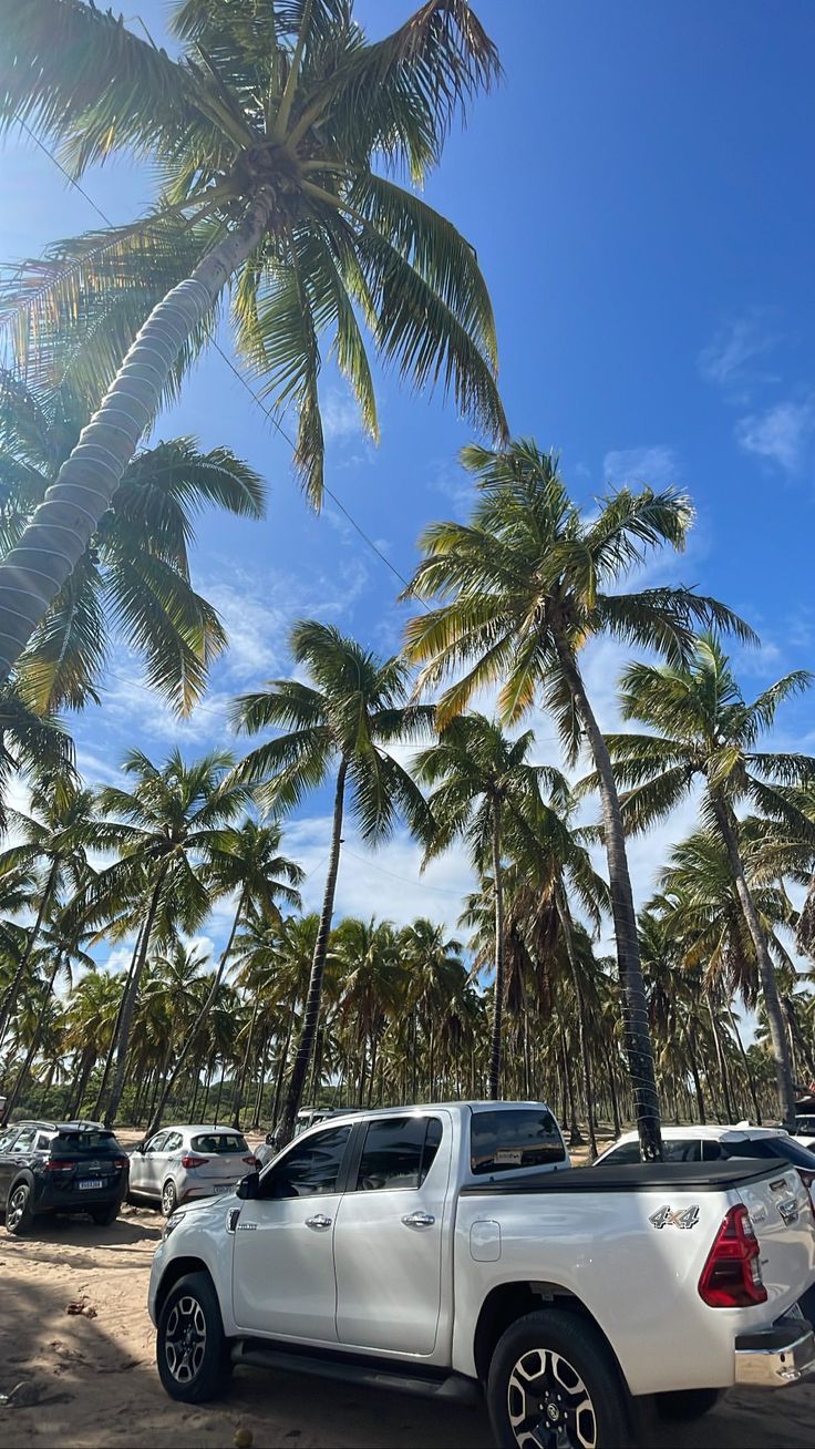 the back end of a white pick up truck parked in front of some palm trees