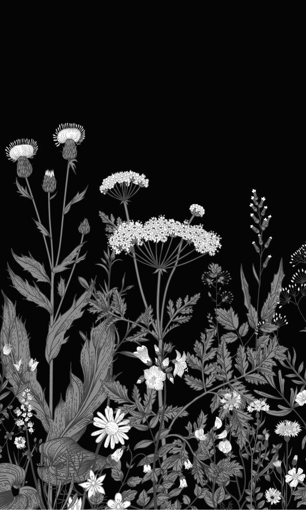 a black and white photo of flowers on a dark background with butterflies flying around it