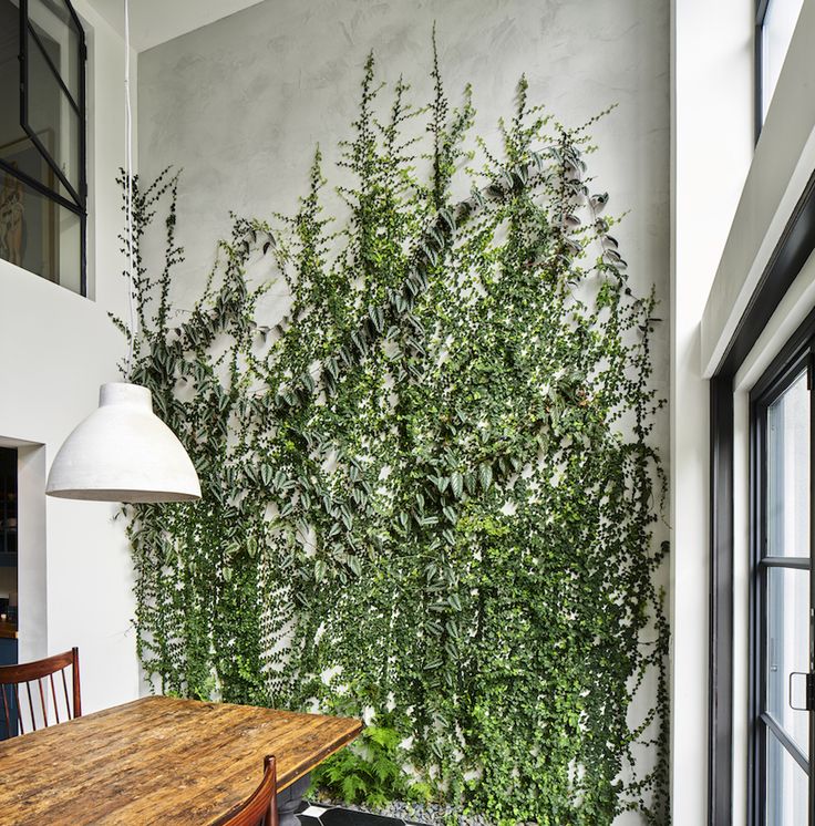 a dining room table and chairs in front of a wall with plants growing on it