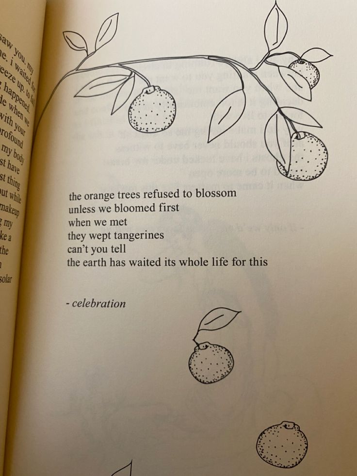 an open book with drawings of fruit and leaves on the page, which is written in cursive writing