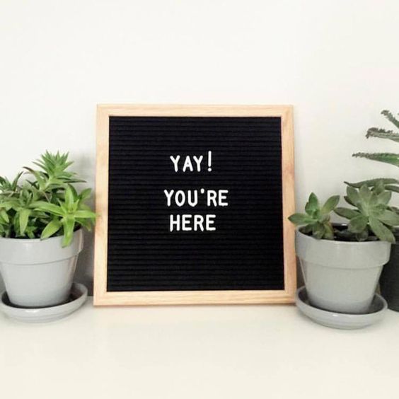 three potted plants sitting next to a sign that says, yay you're here