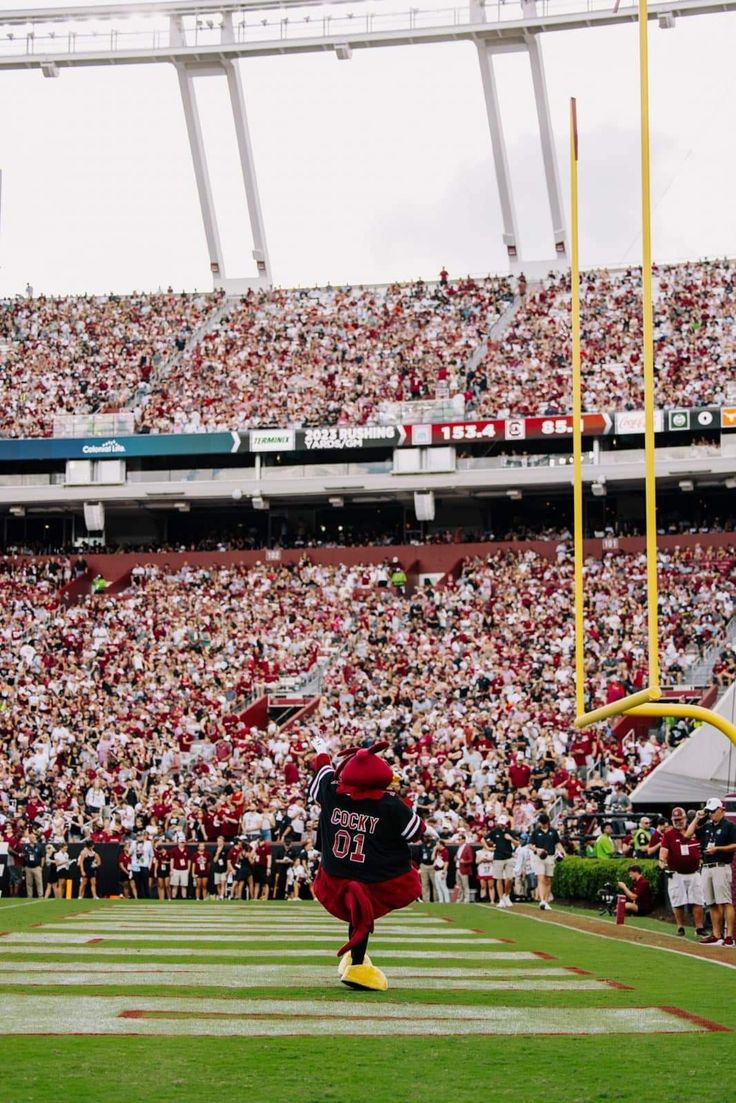 a football player catching a ball in front of a large stadium full of people watching