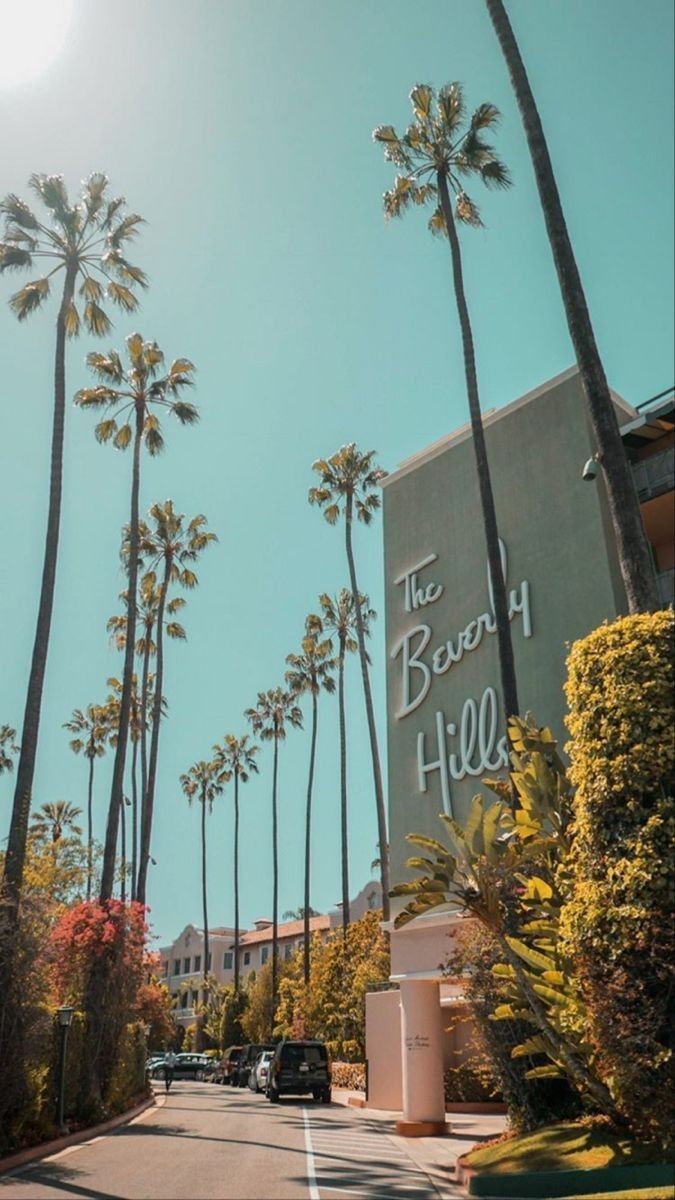 palm trees line the street in front of a building