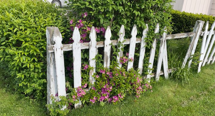 an old white picket fence with flowers growing on it