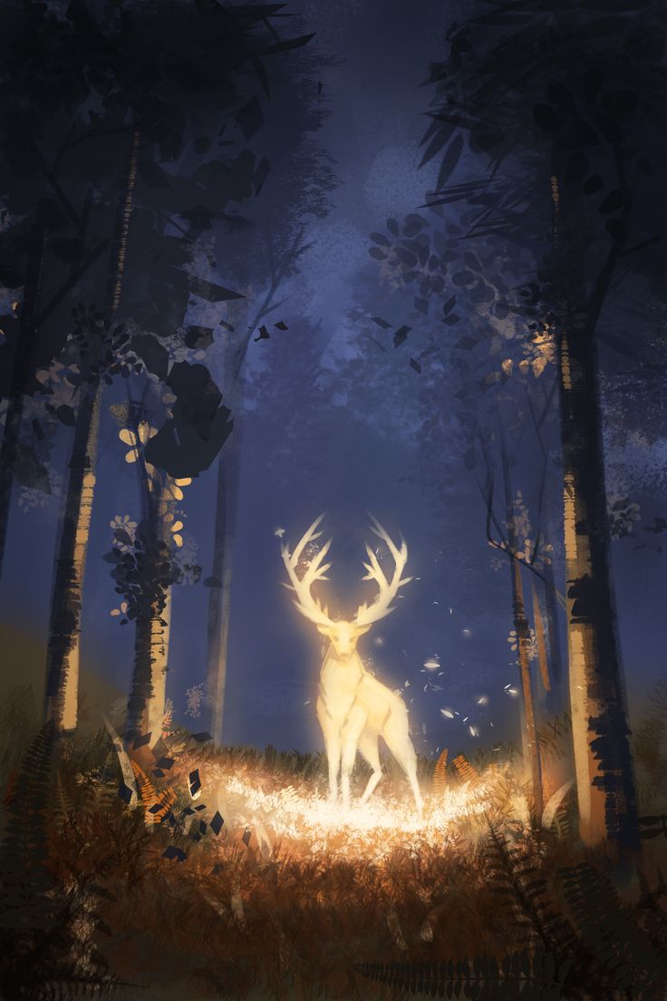 a deer standing in the middle of a forest at night