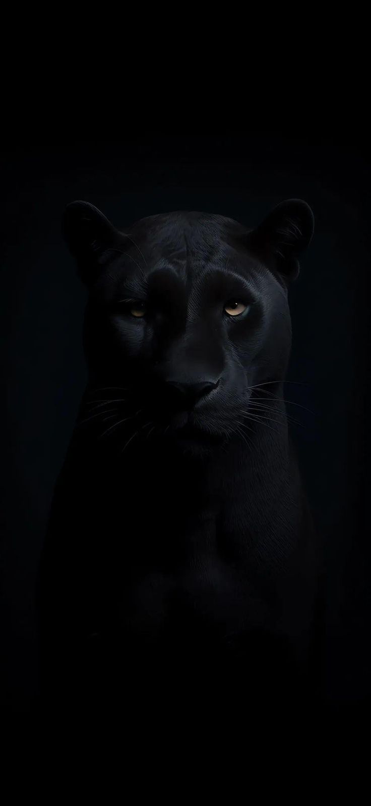 a black cat with yellow eyes is looking at the camera while it's dark