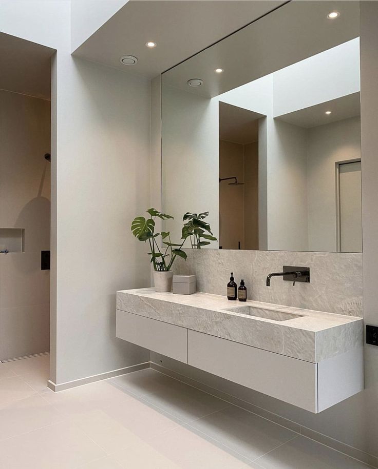 a white bathroom with two sinks and a plant in the corner on the counter top