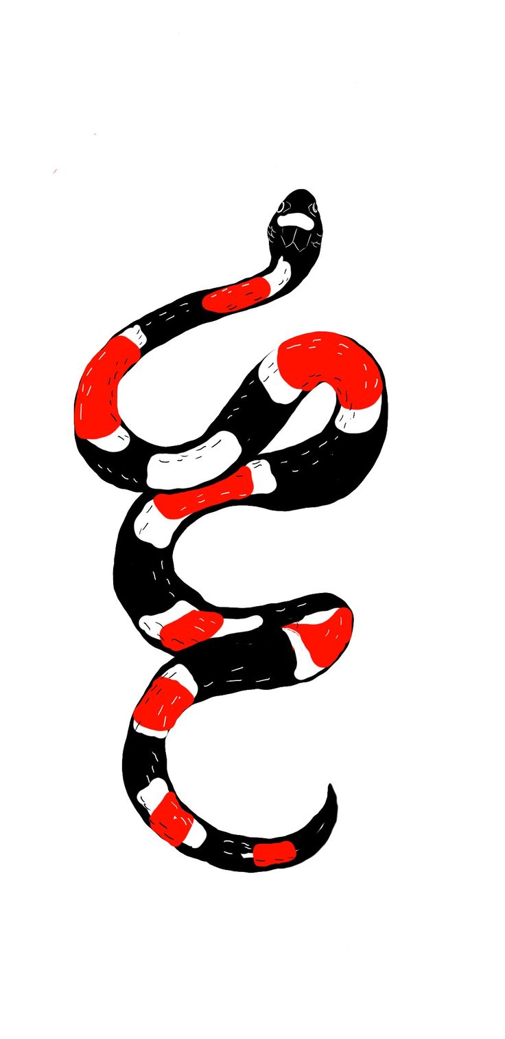 a red and black snake on a white background with the letter s in it's center