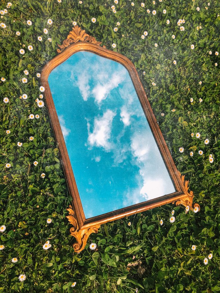 a mirror sitting on top of a lush green field