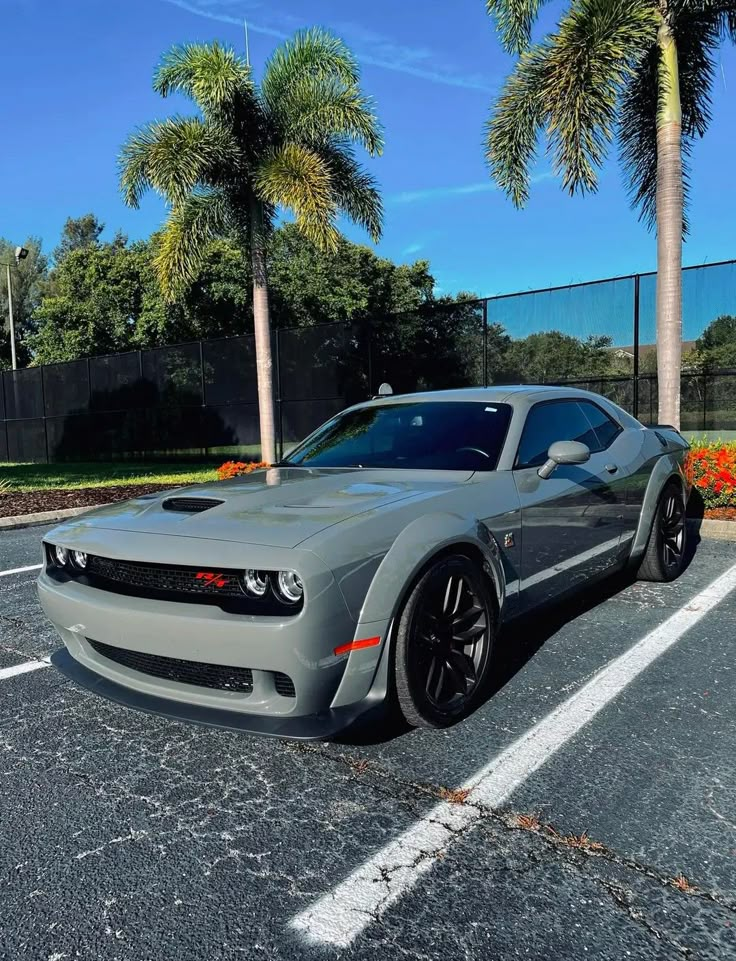 a gray sports car parked in a parking lot next to palm trees and orange flowers