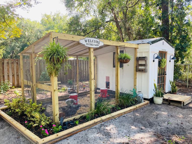 a small garden shed with plants growing in it