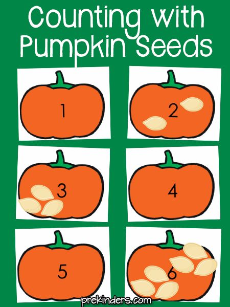 counting with pumpkin seeds is an easy way to practice counting