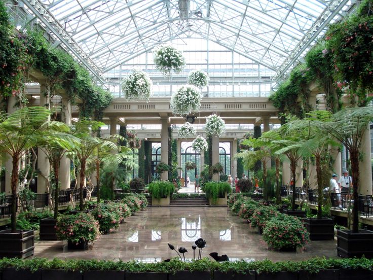 the inside of a building with lots of plants and potted trees on each side