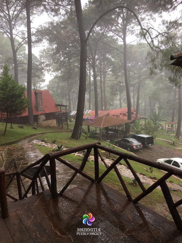 cars are parked in the rain near some trees