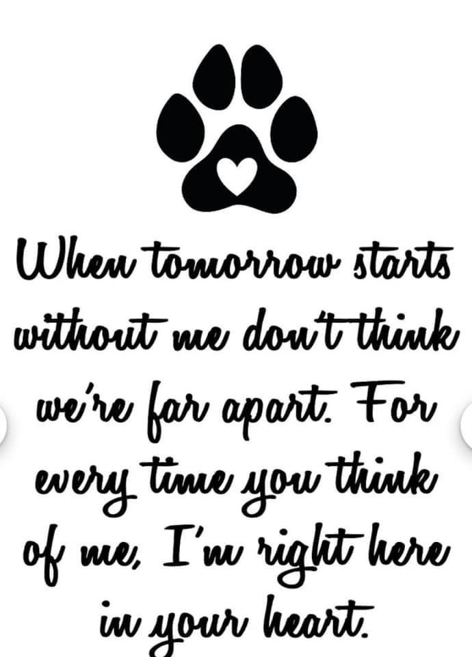 a dog's paw with the words when tomorrow starts, what we don't think