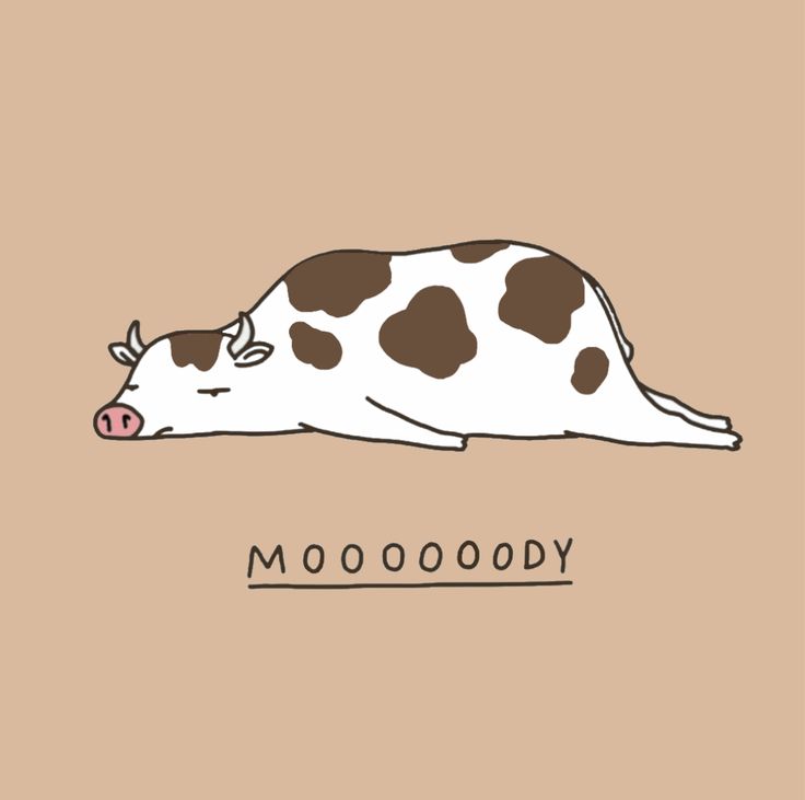 a brown and white cow laying down on top of a tan background with the words voodoo written across it