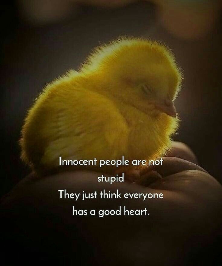 a small yellow chick sitting on top of someone's hand with a quote about innocent people