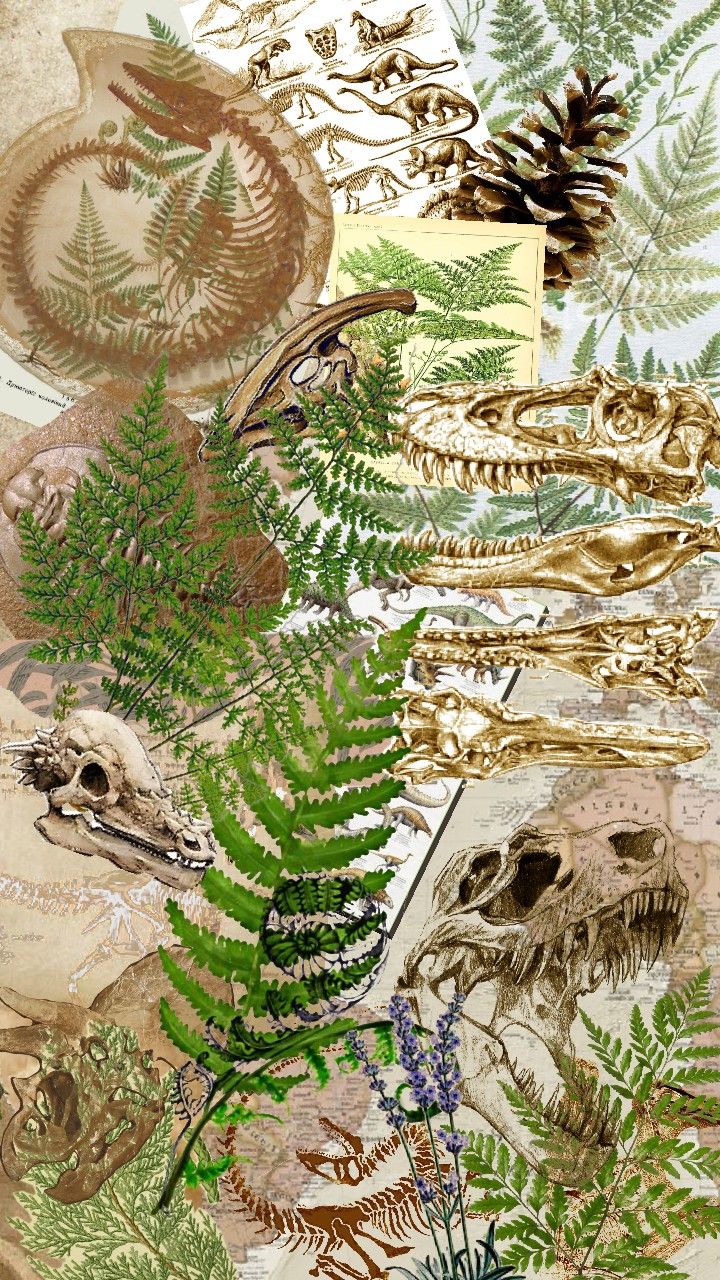 an image of different types of plants and animals in the wild, including ferns