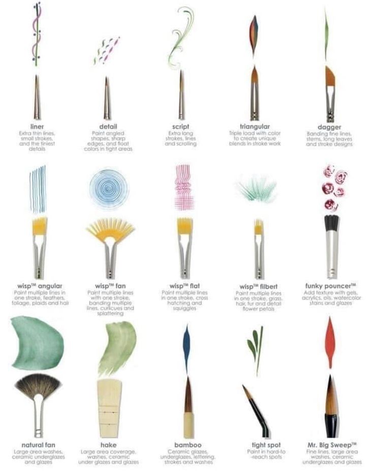 an image of different types of paint brushes