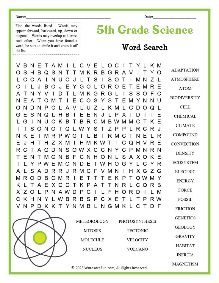 the 5th grade science word search