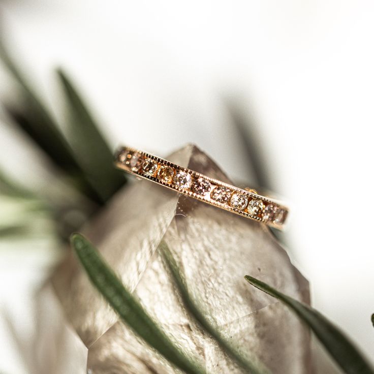 This gorgeous piece was made to stand out day or night! The Champagne Diamond Pea Pod Eternity Ring is a channel set band that has champagne diamonds strung together neatly in a perfect row. Its beauty was made to reflect that everlasting love you'll share for years to come. Rose Gold Diamond Band In Fine Jewelry Style, Rose Gold Diamond Eternity Band For Promise, Elegant Gold Eternity Band With Diamond Accents, Rose Gold Diamond Promise Eternity Band, Luxury Eternity Band With Diamond Accents For Promise, Luxury Wedding Stackable Rings With Diamond Accents, Anniversary Diamond Band In Rose Gold, Luxury Rose Gold Channel Set Jewelry, Luxury Rose Gold Jewelry With Channel Set