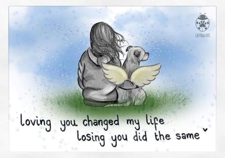 Dogs & grief Miss My Dog, Dog Poems, You Changed My Life, Losing My Best Friend, Dog Quotes Love, Dog Sympathy, Dog Heaven, Pet Remembrance, Loving You