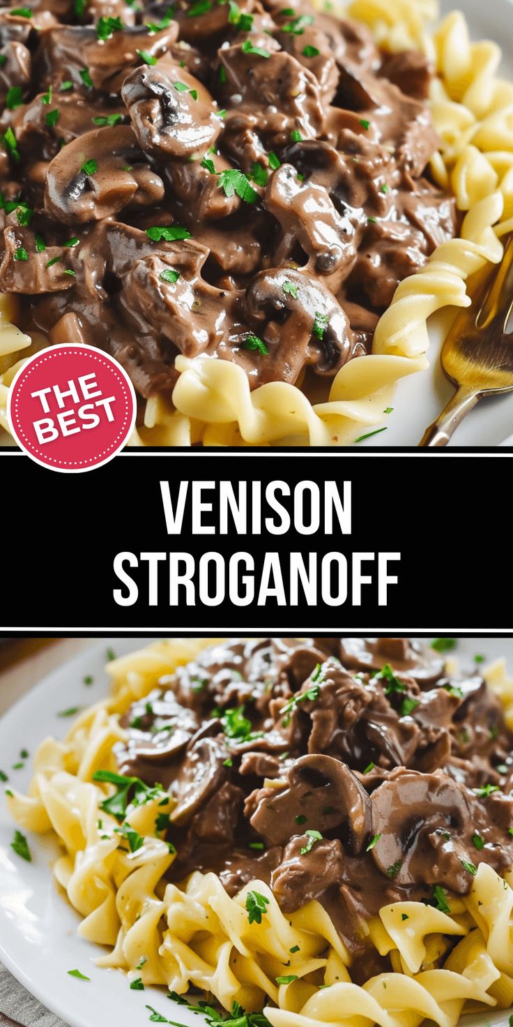 a plate of pasta with mushrooms and sauce on it, next to a bowl of mushroom stroganoni