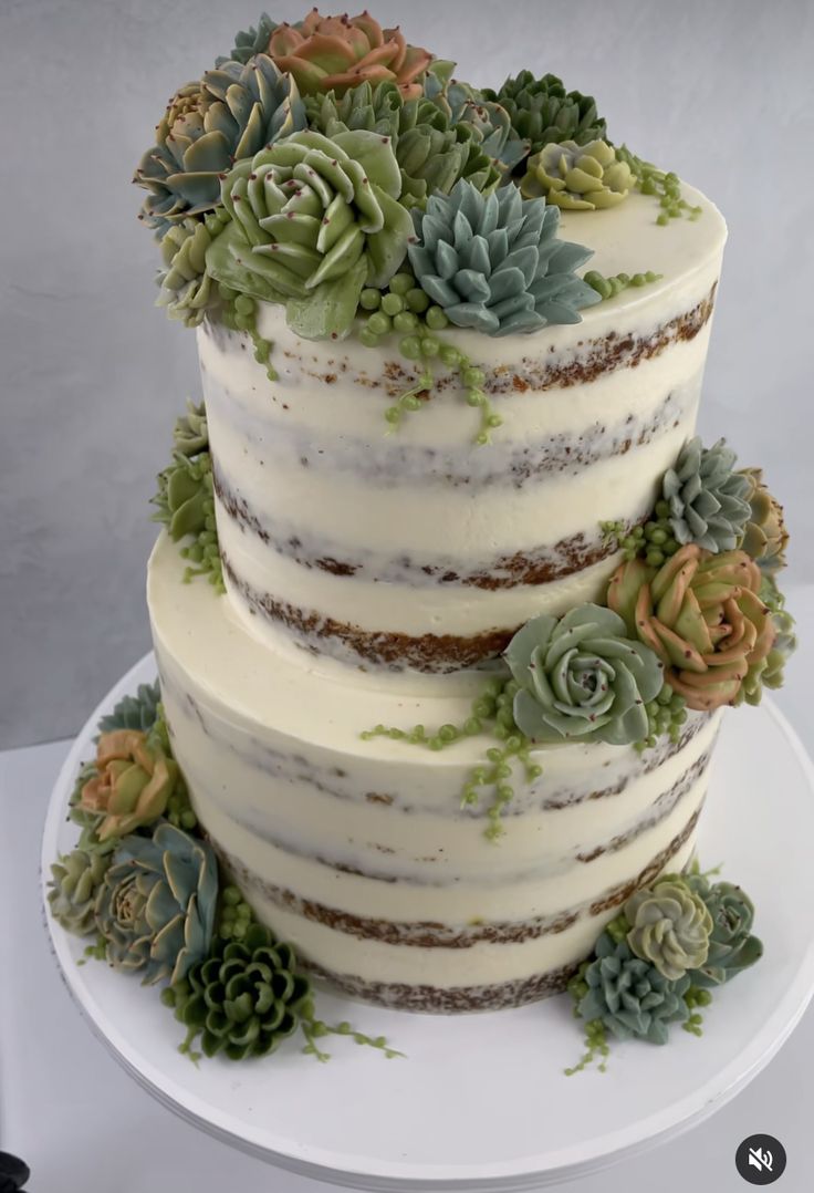 a three tiered cake with succulents on top