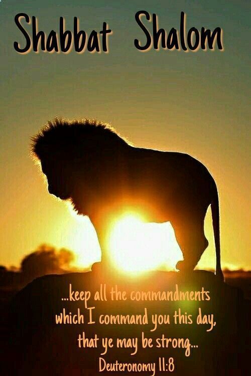 a lion silhouetted against the setting sun with text that reads, shabat shalohn