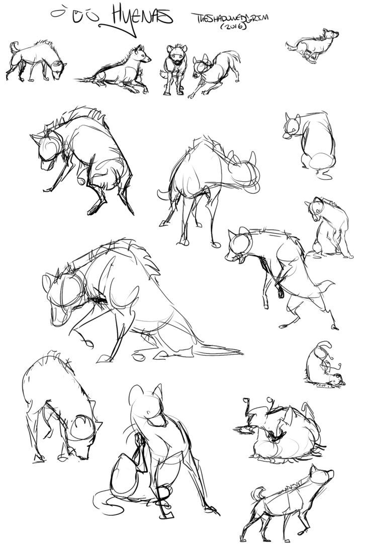 some animals that are standing and sitting in the same direction, all drawn by hand