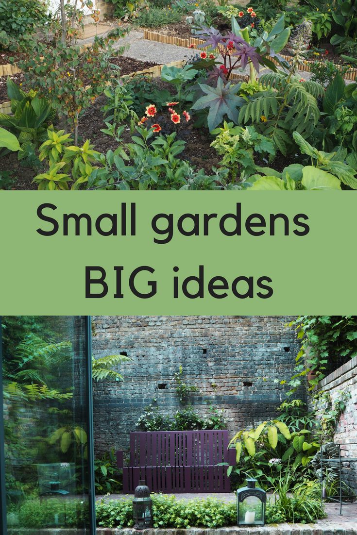 small gardens big ideas for the garden in your home or office, including plants and flowers