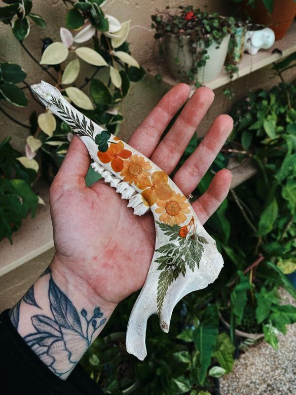 Bone Diy Crafts, Deer Jaw Bone Crafts, Painted Jaw Bone, Animal Bone Decor, Art With Bones, Bone Art Diy, Deer Jaw Bone Art, Jaw Bone Art, Painting Bones