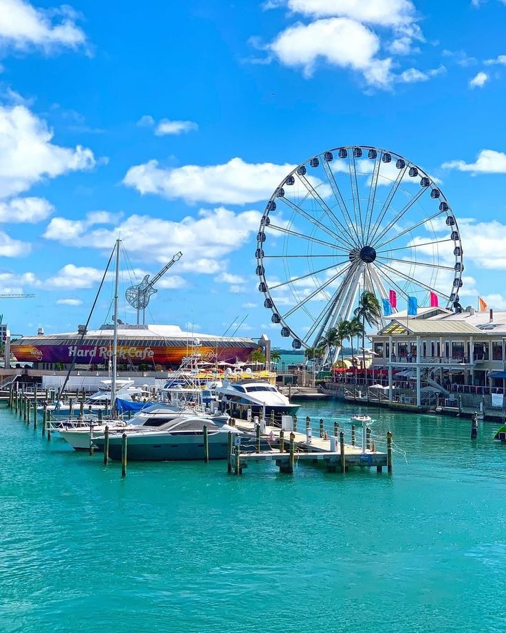 a large ferris wheel sitting next to a marina filled with boats