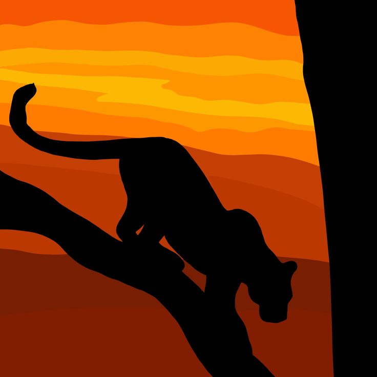 the silhouette of a cat on a tree at sunset