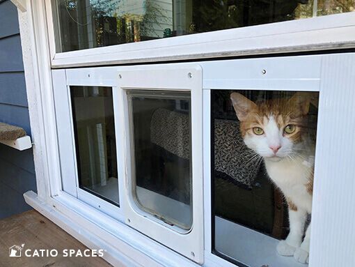 an orange and white cat sitting in the window sill of a house looking out