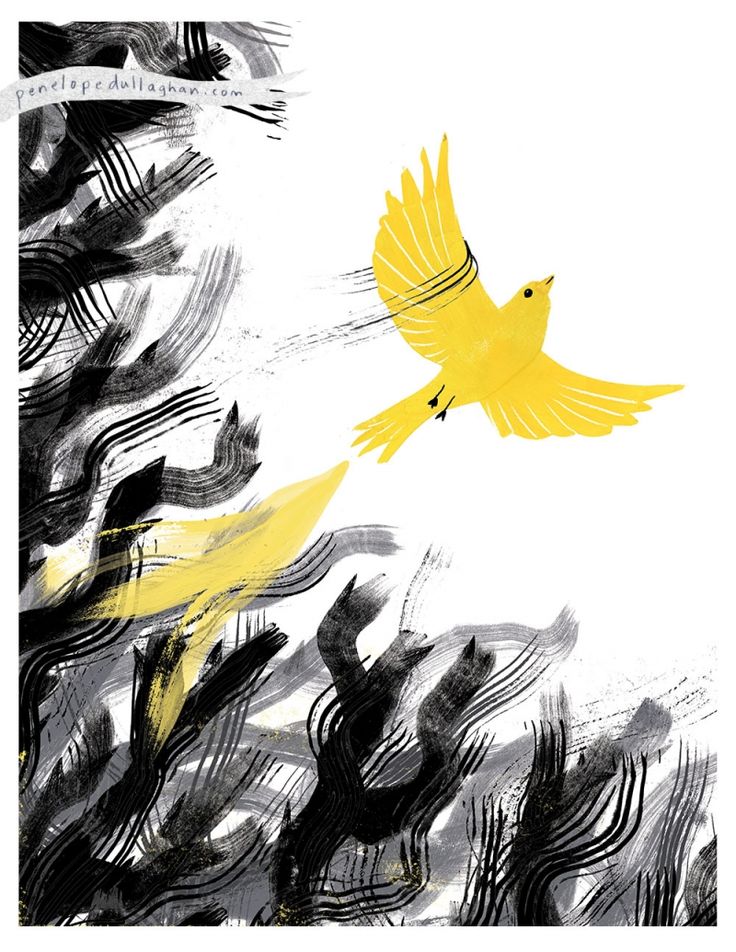 Yellow Bird Drawing, Hope Drawing, Light In Dark, Arte Peculiar, Bird Drawing, Fear Of Flying, The Great, Beacon Of Hope, Yellow Bird