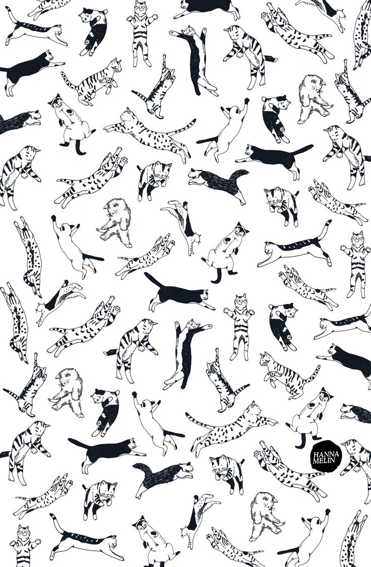 a black and white drawing of cats in different poses on a white background with the words,