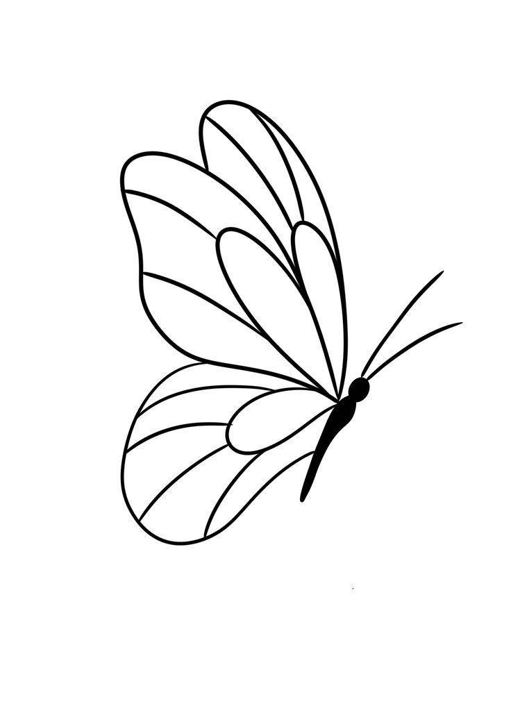 a black and white drawing of a butterfly