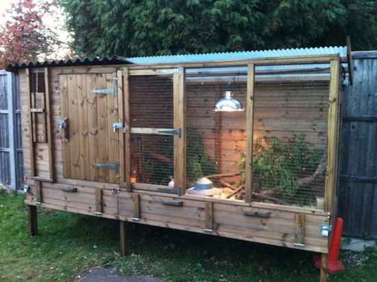 a garden shed with plants in it and some lights on the top shelf, next to a fence