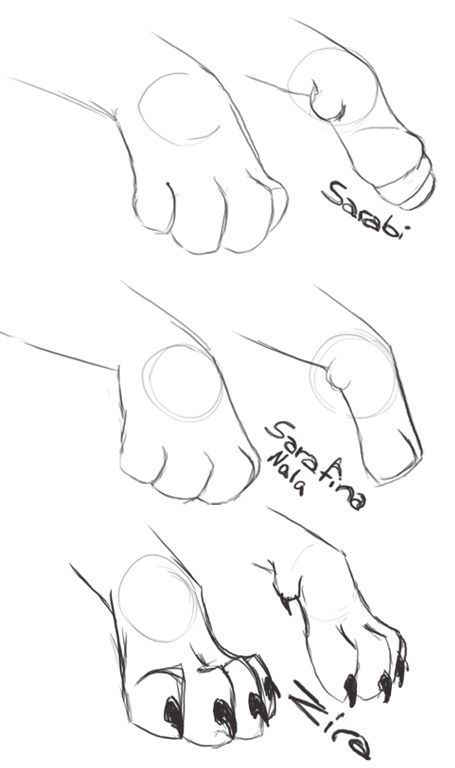 the steps in how to draw a dog's feet