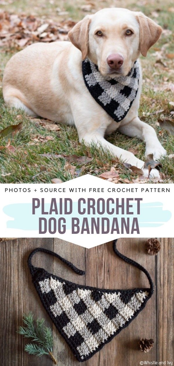 a dog laying on the ground wearing a black and white crochet bandana