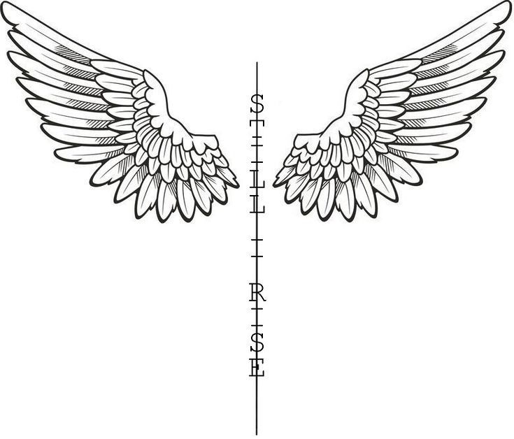 an angel wing is shown on the side of a line drawing ruler, which shows how tall it is