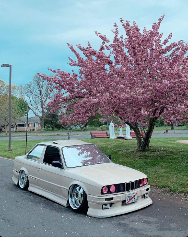 a white car parked in front of a tree with pink flowers on it's branches