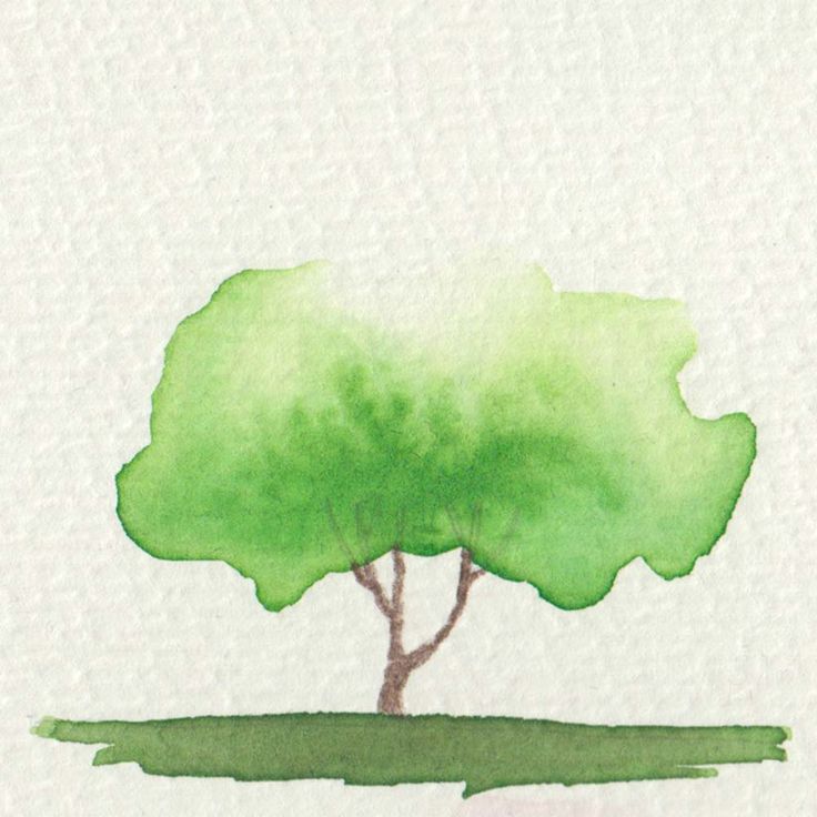 a watercolor painting of a green tree