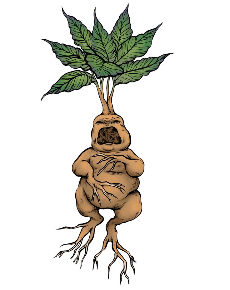 a plant with roots and leaves growing out of it's body, in the shape of a human torso