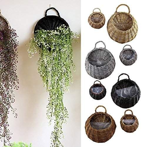 there are many pots and pans hanging on the wall with plants growing out of them