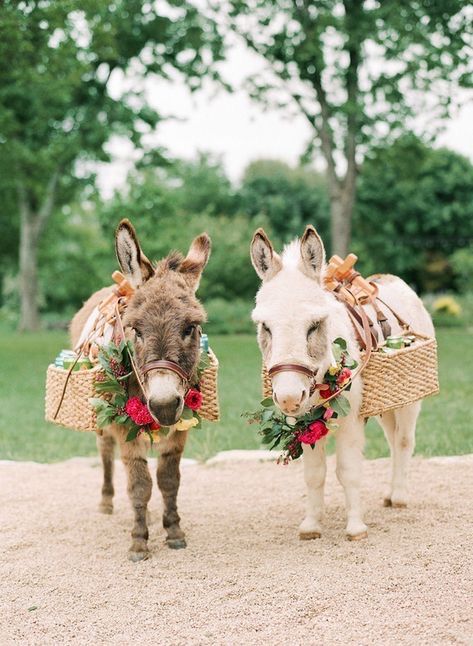 two donkeys with flowers on their heads standing next to each other