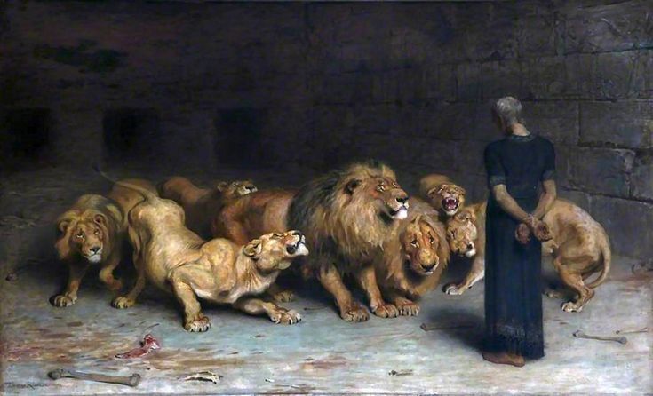 a man standing in front of a group of lions