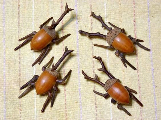 four brown bugs sitting on top of a table